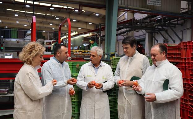 El PP pide al Gobierno ejecutar las canalizaciones de Rules «que lleva años anunciando»