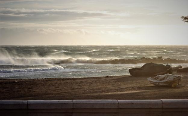 Palmeras desprendidas o farolas caídas: el viento afecta severamente a unos quince puntos de Almería