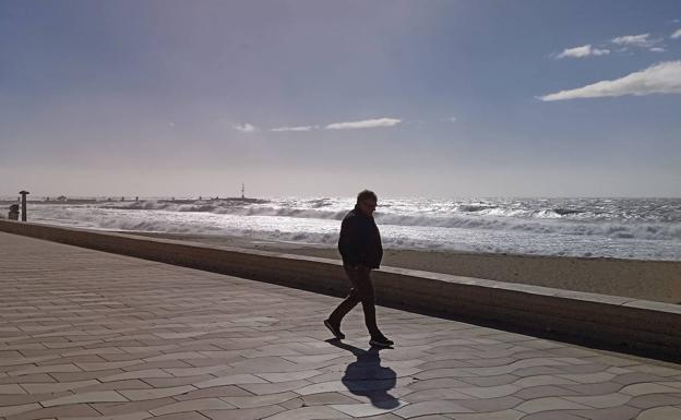 Palmeras y farolas caídas: 112 gestiona una quincena de incidentes por viento en Almería
