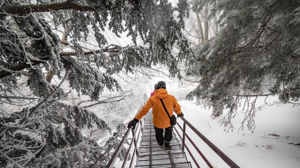 Una 'nortada' trae nieve, frío invernal y heladas a Andalucía