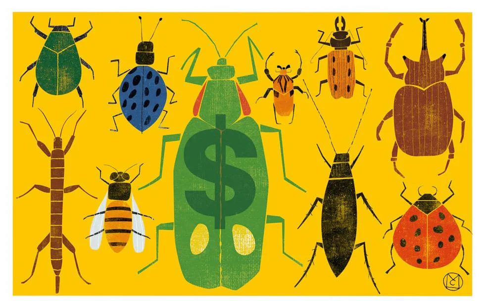 Desmitificando a los insectos: solo el 3% de las especies son dañinas para el ser humano