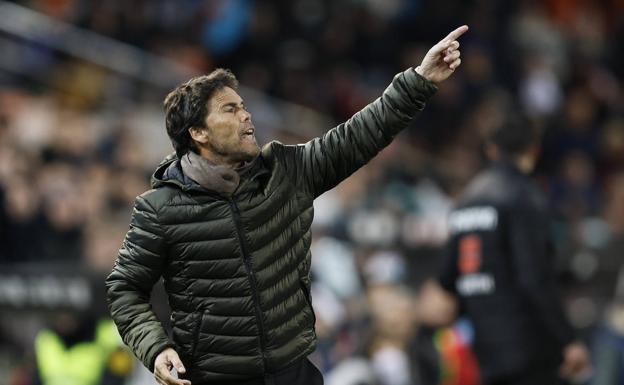 Que los árboles no dejan ver el bosque