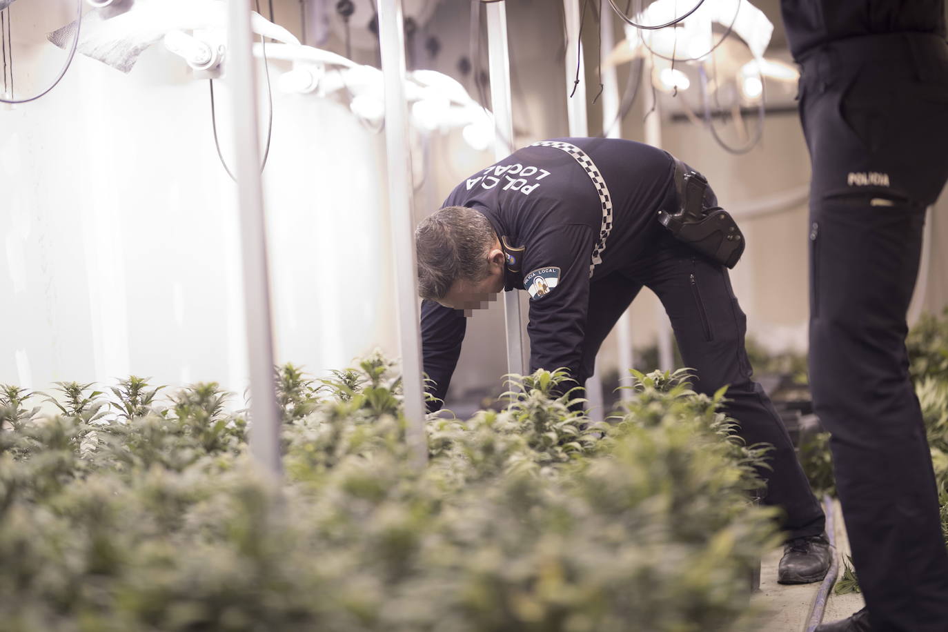 Expertos piden cambios legales y medios contra el tráfico de marihuana en Granada