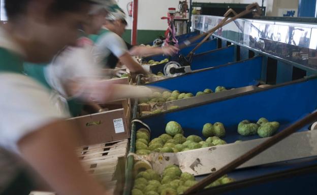El frío 'congela' la producción de subtropicales y almendra en la Costa