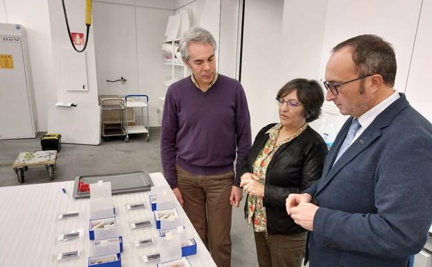 El Museo Íbero de Jaén restaura la colección de exvotos de la Fundación Rodríguez-Acosta