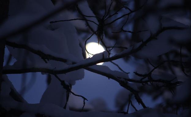 Continúan las heladas nocturnas en la provincia de Jaén