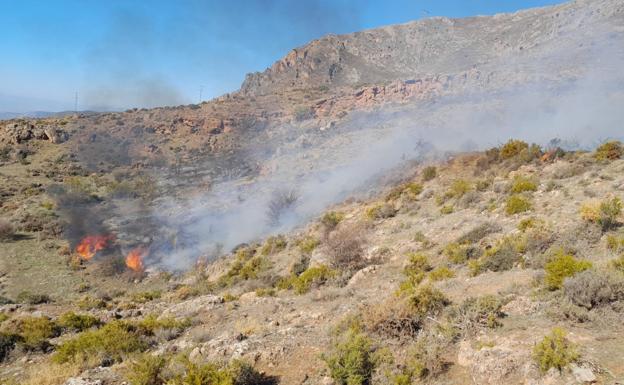 Extinguido el incendio de Güéjar Sierra