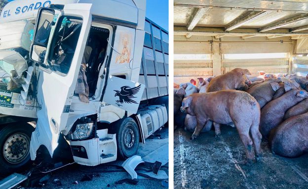 El choque de dos camiones en la A-44 se salda con un herido