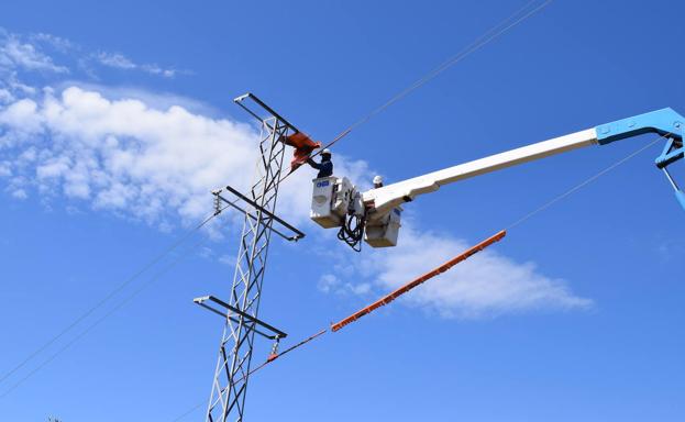 Protegen postes eléctricos de Jaén, Linares y otros 44 municipios de la provincia para evitar la muerte de aves