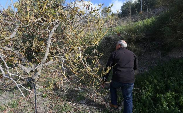 Los regantes llevan décadas asumiendo el coste de infraestructuras hidráulicas
