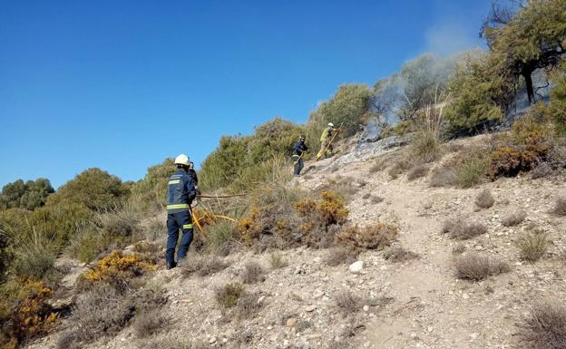 Bomberos extinguen un incendio presuntamente provocado en el cerro de San Miguel