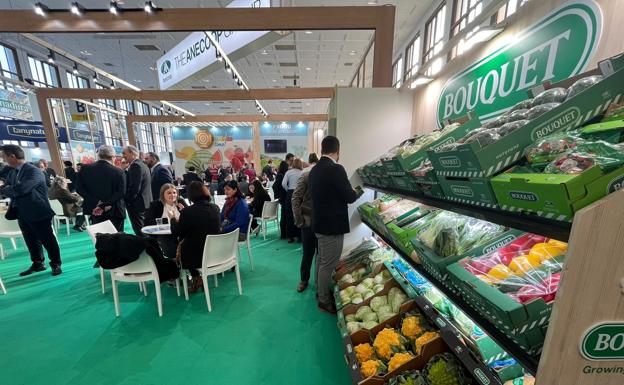 Preocupación en las empresas de comercialización por el nuevo impuesto al plástico