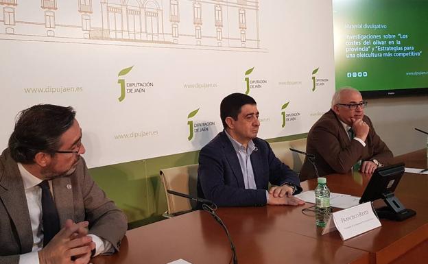 Alianza para transformar el olivar jienense y que sea más competitivo y rentable