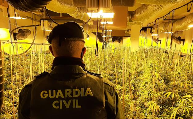 Descubren un cortijo en Vegas del Genil con todas sus habitaciones llenas de marihuana