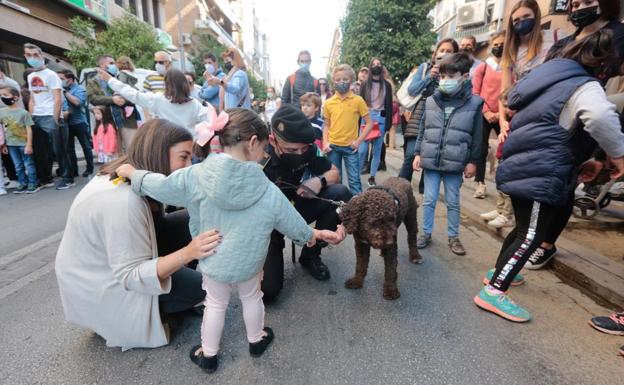 Día sin coche en la Gran Vía este domingo: todas las actividades previstas