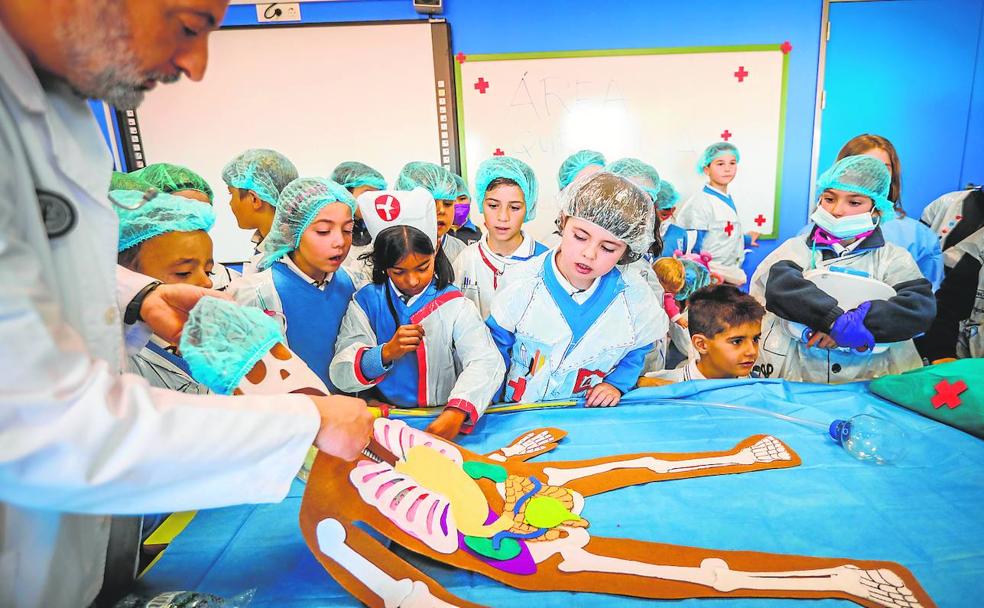 'Erase una vez la vida' en el Zaidín