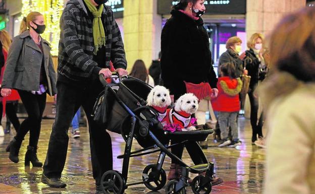 Ir de compras con el perro ya es posible en Almería