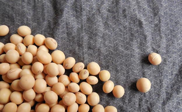 Una 'súper harina' para reducir el colesterol 'malo' en tus analíticas