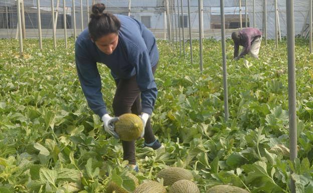 El salario de los almerienses es de 16.220 euros al año, 5.299 euros menor que la media del país