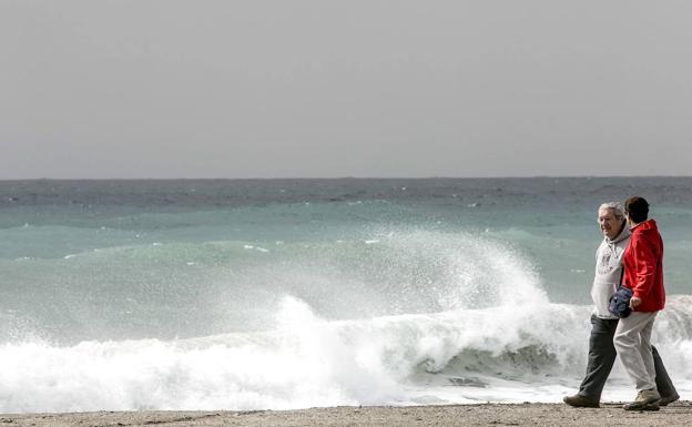 Costas asegura que la tramitación ambiental del espigón de Motril concluirá «pronto»