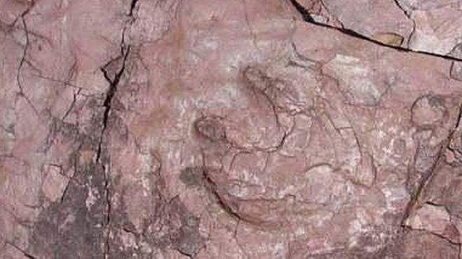 Hallan huellas de reptiles y grandes carnívoros de hace 245 millones de años