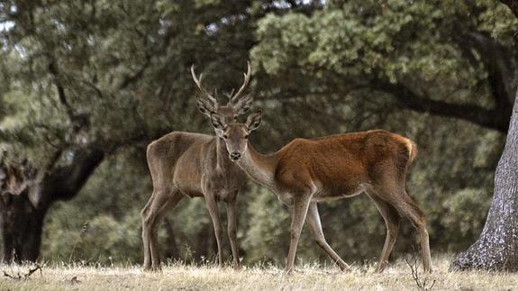 La custodia del territorio, una oportunidad para innovar