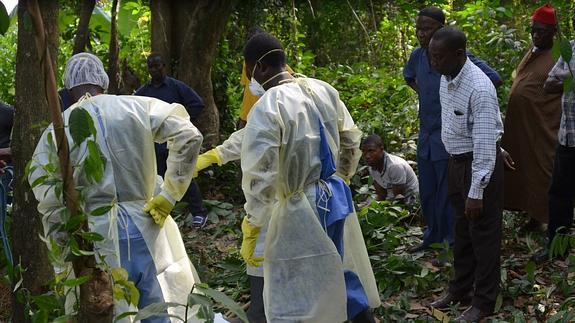 Primeros ensayos en humanos de otra de las vacunas contra el ébola