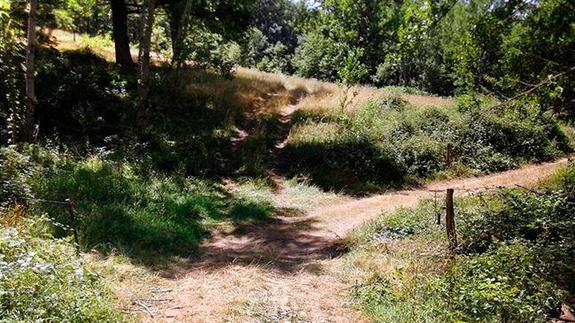 Un ciclista muere al topar con un cable colocado en una senda en Cantabria
