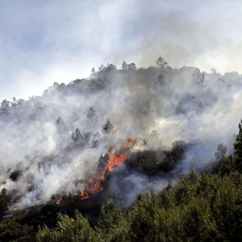 El fuego en la Comunidad Valenciana sigue sin control y arrasa 1.200 hectáreas