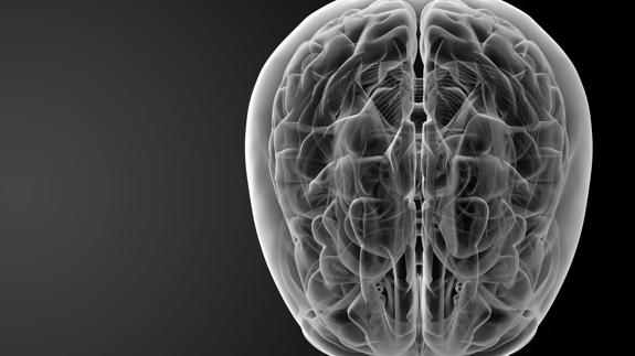 Crean un dispositivo que reduce las secuelas de parálisis cerebral en bebés