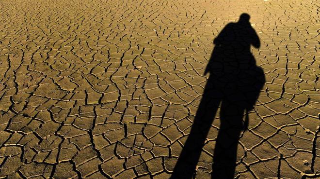 España pedirá el anticipo de hasta el 70% de las ayudas de la PAC por la sequía