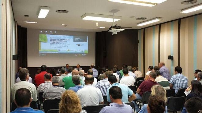 Los agricultores sexitanos conocen los avances en frutas tropicales