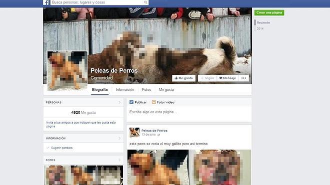 Facebook se resiste a cerrar la página 'Peleas de perros'