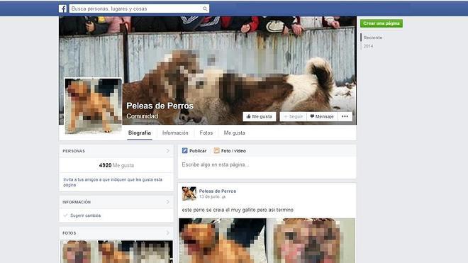 Facebook entra en razón: 'Peleas de perros' desaparece