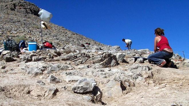 Reconocen al arqueólogo que descubrió los primeros restos de Medina Elvira