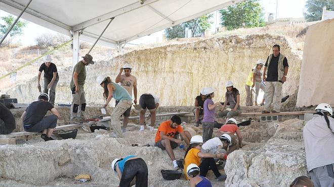 Retoman el trabajo en Venta Micena, en Orce, tras hallar numerosos fósiles