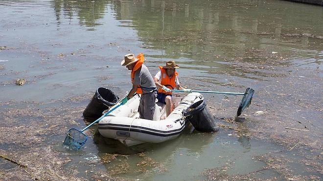 Emasagra limpia el río Genil un día después de las quejas vecinales