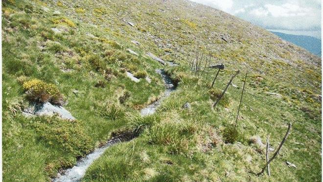 La discordia por el agua