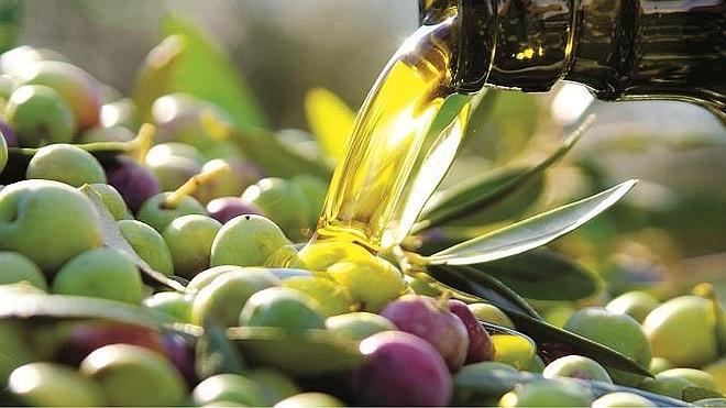 Cada seis meses aparece un nuevo país productor de aceite