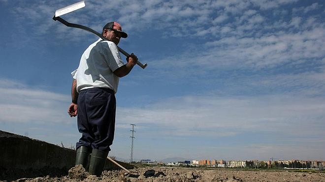 El cambio climático provocará pérdidas millonarias en la agricultura y el turismo