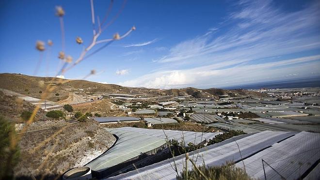 La Junta tumba la propuesta de regularización y creación de nuevos invernaderos de Motril