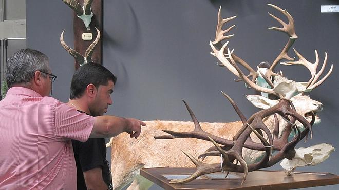 Jaén, provincia cinegética por excelencia con cerca de 2.000 permisos de caza