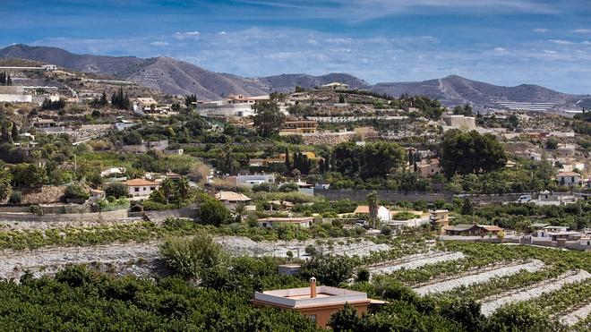 La legalización de cortijos, a ralentí