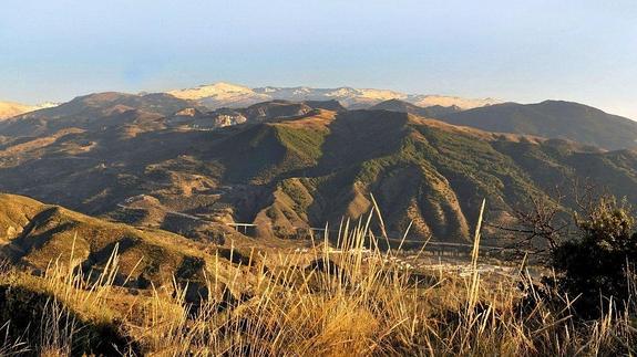 Sendas otoñales en Granada