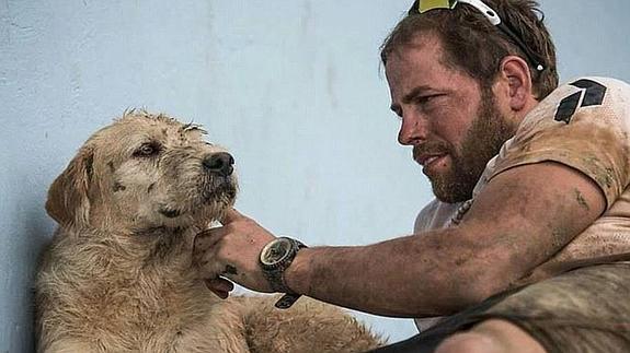 La persistencia de Arthur