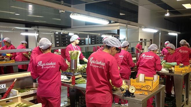 Vivir En Granada Pros Y Contras