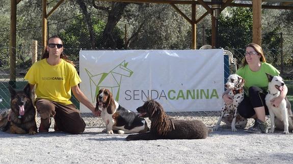 Olfatea, rastrea y sigue la Senda Canina