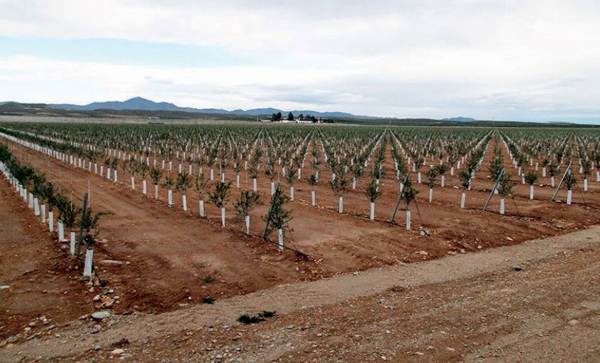 Cinco espacios naturales en Andalucía que urge restaurar