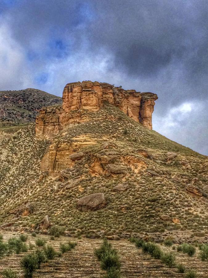 Alicún de Ortega y 'Tío Fermín'