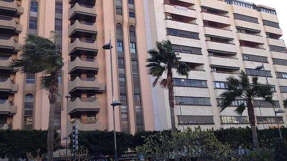 El viento causa una treintena de incidencias en Adra, Vélez-Rubio, Vélez-Blanco y Arboleas